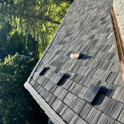 Shingle and slate roof